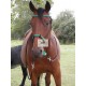 Bosal-Bridle