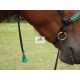 Bosal-Bridle