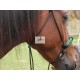 Bosal-Bridle