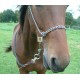 Bitless Rope Bridle