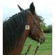 Bitless Rope Bridle